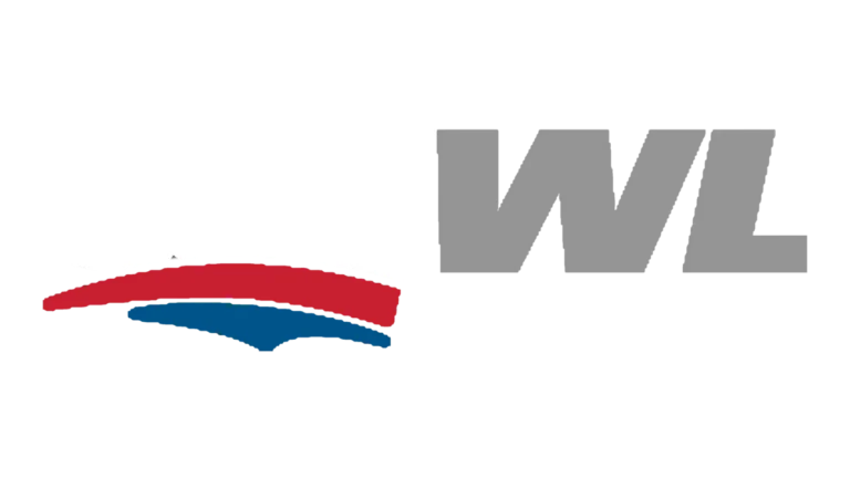 Series Network Icon 12